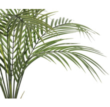 Palm med gröna blad
