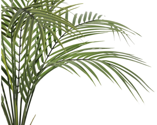 Palm med gröna blad