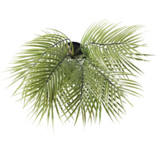 Konstgjord palm i kruka, ovanifrån.