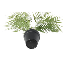 Konstgjord växt i kruka, detaljvy uppifrån