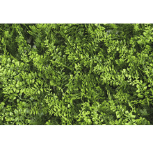 Konstgjord växtvägg med diverse gröna blad för dekoration