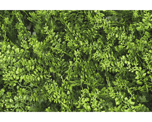 Konstgjord växtvägg med diverse gröna blad för dekoration