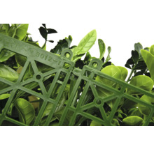 Detaljbild av konstgjorda buxbomshäckpaneler sammankopplade