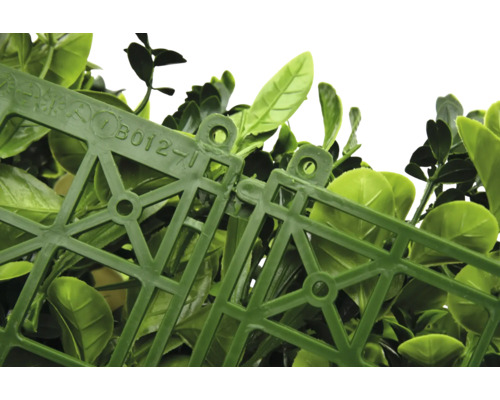 Detaljbild av konstgjorda buxbomshäckpaneler sammankopplade