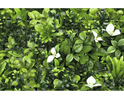 Konstgjord häck med gröna blad och vita blommor