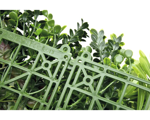 Konstgjord växtvägg med gröna blad och plastgaller