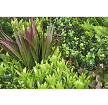 Konstgjord växtvägg med ormbunkar och blad