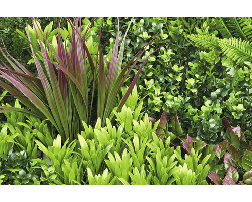 Konstgjord växtvägg med ormbunkar och blad