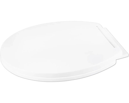 Toalettsits av plast