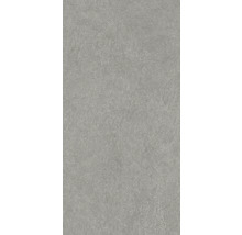 Grått betongutseende för inomhusbruk