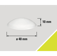 Halvklotformad möbelknapp med en diameter på 40 millimeter och en höjd på 10 millimeter.
