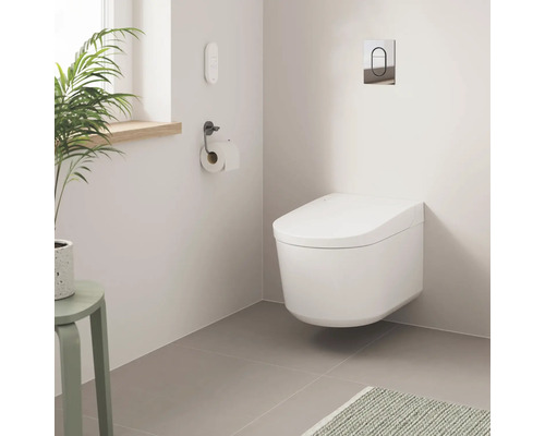 Modernt badrum med vägghängd toalett, toalettpappershållare och krukväxt