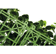 Närbild av en grön växtmatta med plastgitter