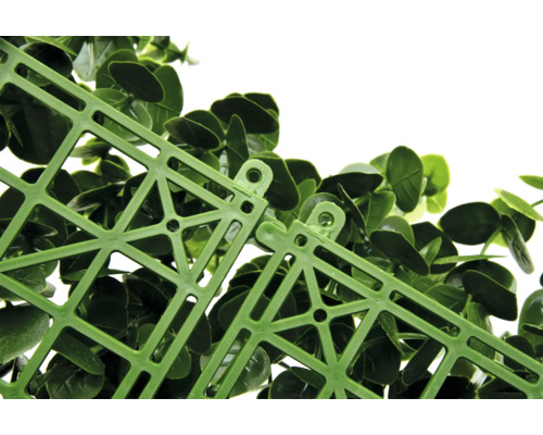 Närbild av en grön växtmatta med plastgitter