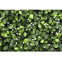 Konstgjord växtvägg med eukalyptus och vita blommor