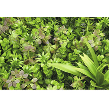 Konstgjord växtvägg med olika gröna blad