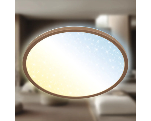 Oval taklampa med stjärnmönster