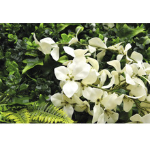 Konstgjord växtvägg med vita blommor och olika nyanser av grönt