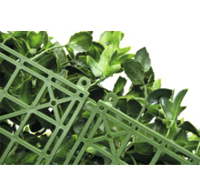 Detalj av en konstgjord häck med blad och gallerstruktur