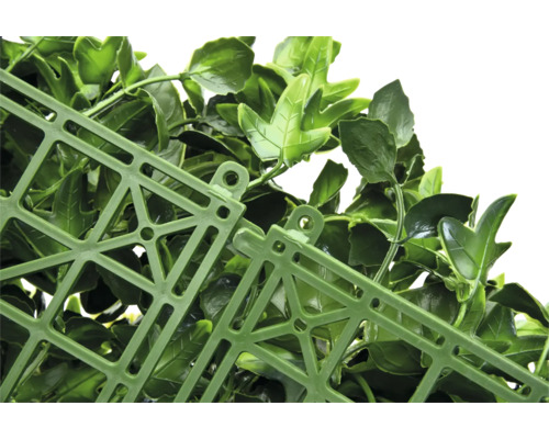 Detalj av en konstgjord häck med blad och gallerstruktur