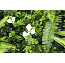 Konstgjord grön växtvägg med vita blommor och ormbunkar