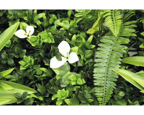 Konstgjord grön växtvägg med vita blommor och ormbunkar