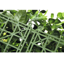 Detaljvy av en konstgjord växtvägg med fäststruktur