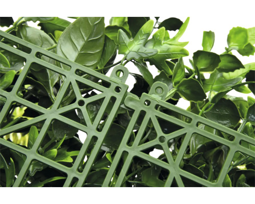 Detaljvy av en konstgjord växtvägg med fäststruktur