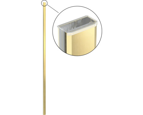 Väggprofil JUNGBORN Tria till duschvägg borstad guld 2100mm 20mm Guldfärgad profillist med transparent lock
