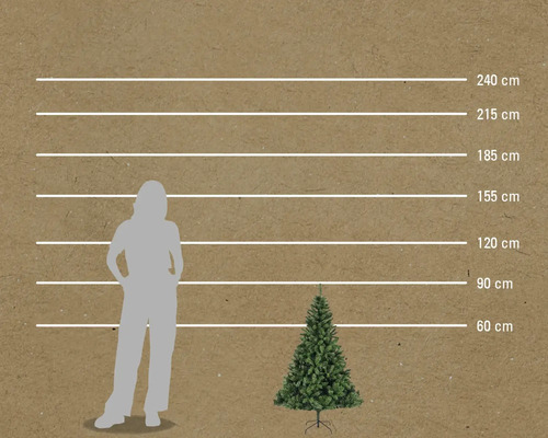 Storleksjämförelse av en person och en julgran med höjdmått i centimeter