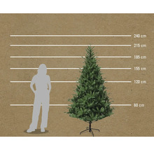 Storleksjämförelse konstgjord julgran med kvinna och storleksangivelser