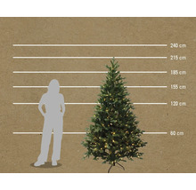 Illustration av en julgran med storleksangivelser från 60 centimeter till 240 centimeter