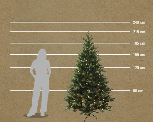 Illustration av en julgran med storleksangivelser från 60 centimeter till 240 centimeter