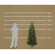 Storleksjämförelse av en konstgjord gran med en person med hjälp av en skala i centimeter.