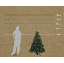 Storleksjämförelse av en konstgjord julgran med en person med hjälp av horisontella linjer från 60 cm till 240 cm.
