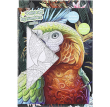 Måla efter nummer set med papegojamotiv, inklusive tre penslar och tolv akrylfärger.