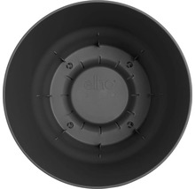 Inre vy av en blomkruka