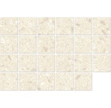 Kakelmosaik av stengods med grov yta