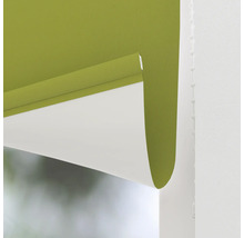 Gröna fönsterrullgardiner för inomhusbruk