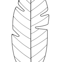 Monstera blad illustration