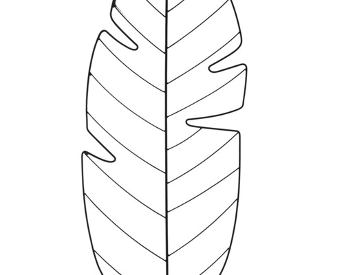 Monstera blad illustration