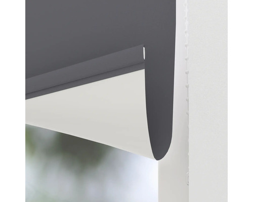 Rullgardin med grått hölje och vitt tyg