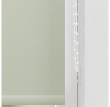 Gröna rullgardiner med manöverkedja