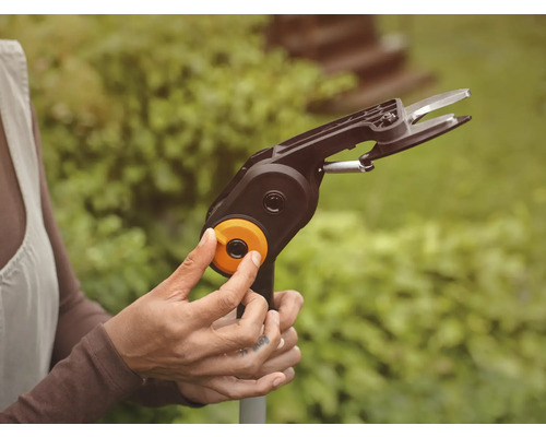 Användning av en busksax med skaft i trädgården