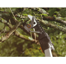 Grenkap beskär en gren