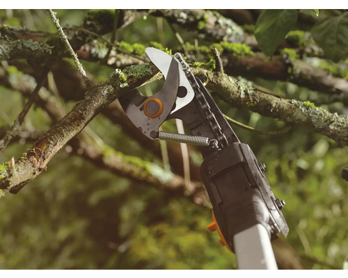 Grenkap beskär en gren
