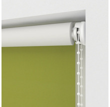 Gröna rullgardiner med kedjedrag för fönsterdekoration