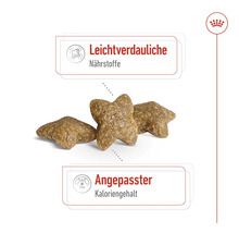 Hundmat med lättsmälta näringsämnen och anpassat kaloriinnehåll