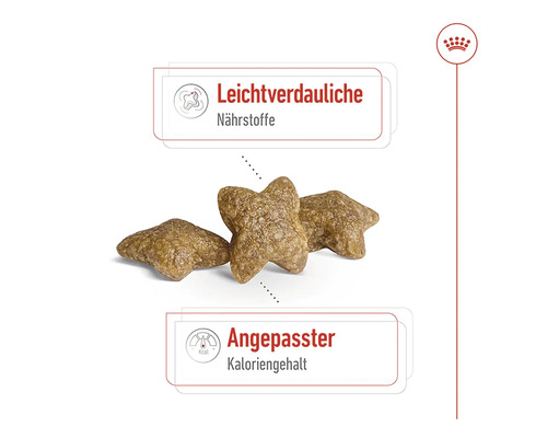 Hundmat med lättsmälta näringsämnen och anpassat kaloriinnehåll