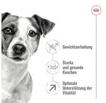 Hund med information om viktkontroll, starka ben och vitalitet